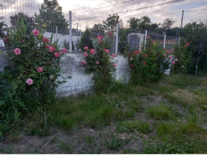 Casa Tomesti zona linistita - imagine 3