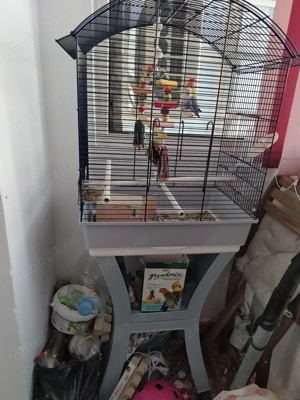 Papagali Agaponis+Colivie suport.  - imagine 2