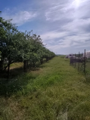 Casa filipestii de targ - imagine 2