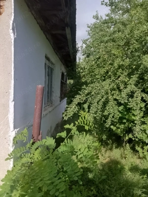 Casa filipestii de targ - imagine 3