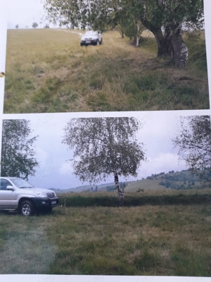 Teren de 17.000 mp situat în apropierea lacului Trei Ape, într-o zonă cu potențial turistic ridicat - imagine 3