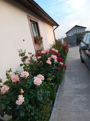 Casa complet utilata și mobilata 125 000 e negociabil - imagine 2