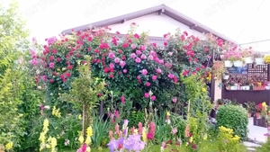 Casa complet utilata și mobilata 125 000 e negociabil