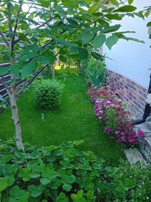 Casa complet utilata și mobilata 125 000 e negociabil - imagine 6