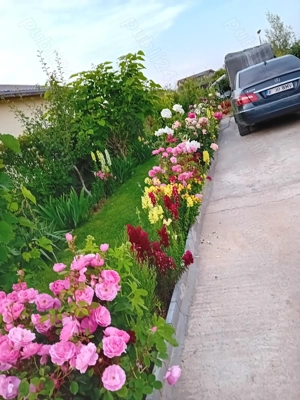 Casa complet utilata și mobilata 125 000 e negociabil - imagine 5