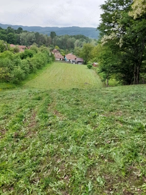 Teren de vanzare 2584 metri patrati,Fedelesoiu acces din principala cu drum privat. - imagine 4