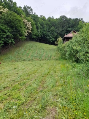 Teren de vanzare 2584 metri patrati,Fedelesoiu acces din principala cu drum privat. - imagine 3