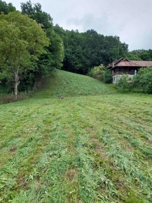 Teren de vanzare 2584 metri patrati,Fedelesoiu acces din principala cu drum privat. - imagine 2