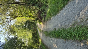 Vand Teren la poalele Muntilor Fagaras - imagine 3