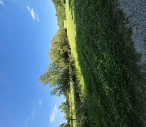 Vand Teren la poalele Muntilor Fagaras - imagine 2