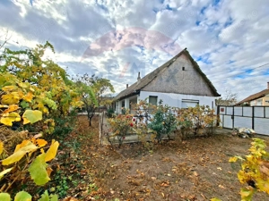 Casa veche cu teren 929 mp- oportunitate in Vladimirescu- comision 0% - imagine 3