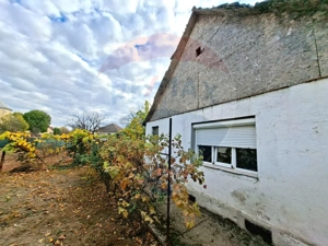 Casa veche cu teren 929 mp- oportunitate in Vladimirescu- comision 0% - imagine 4