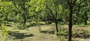 Vand casa+teren 5300 mp Breaza de Sus Nistoresti Prahova - imagine 9