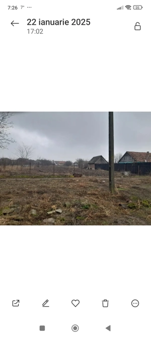 Grădină de vânzare 