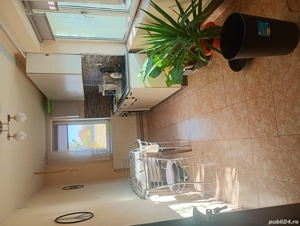 regim hotelier chisineu cris