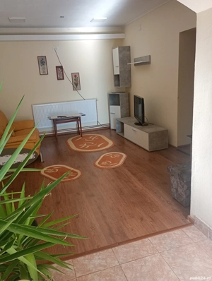 regim hotelier chisineu cris - imagine 5