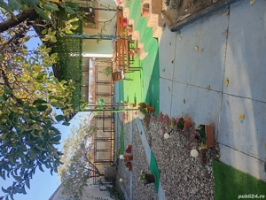 regim hotelier chisineu cris - imagine 3