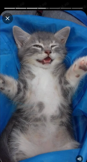 Caut o femeie să aibă grijă de o bătrână 