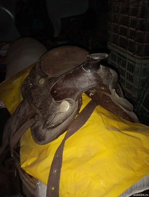 vand  sau schimb 2 șai de călărie  - imagine 3