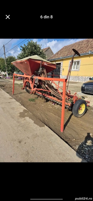 Semanatoare Lely - imagine 3