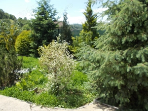 Schimb imobil la munte cu apartament in Brasov sau Bucuresti.  - imagine 2