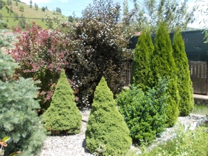 Schimb imobil la munte cu apartament in Brasov sau Bucuresti.  - imagine 3