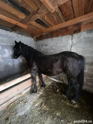 De vanzare!! - imagine 3