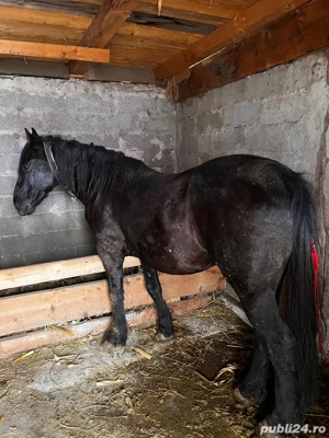 De vanzare!! - imagine 4