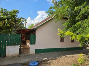 Casă de vânzare? Tomnatic Jud Timiș.