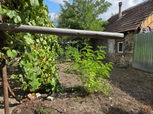 Casă de vânzare? Tomnatic Jud Timiș. - imagine 5