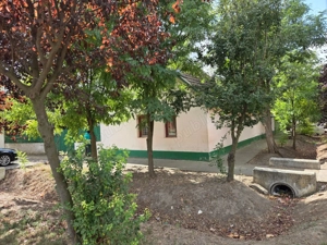 Casă de vânzare? Tomnatic Jud Timiș. - imagine 7