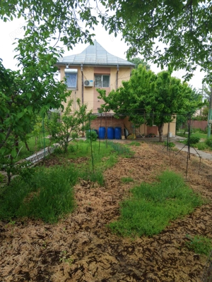 Vila P+1 și 1000mp curte - imagine 9