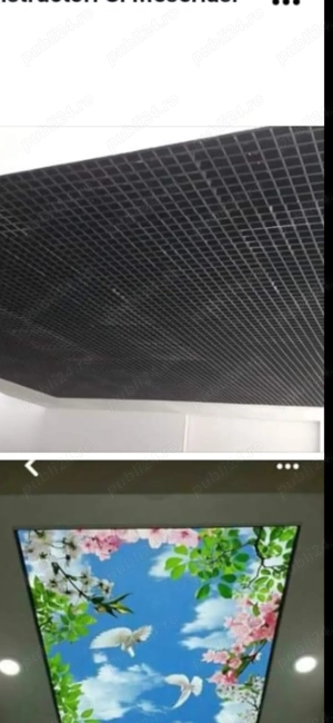 București sector 3 aleea Banu Udrea 9