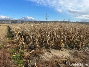 teren arabil 5km de Sibiu - imagine 1