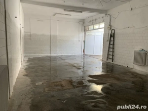 Inchiriez depozit+curte+casa Bulevardul Constructorilor Giulesti  - imagine 2