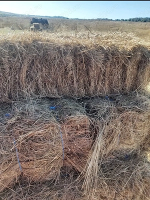 Vând baloți de fân