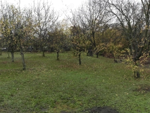 Teren 1645 mp strada Hagica, Baicoi - imagine 7