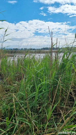 Vand teren - imagine 4