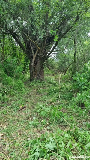 Vand teren - imagine 5