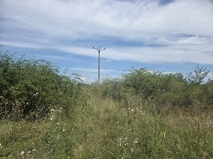 15000 mp (1.5 ha) teren in Vernesti, la 10 min de centrul orasului Buzau, - imagine 6