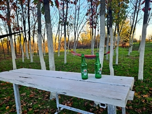 Închiriez gradina urbana pentru recreere in Cartierul Pădurea Băneasa - imagine 5
