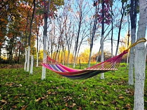 Închiriez gradina urbana pentru recreere in Cartierul Pădurea Băneasa