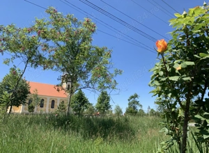 Casa de vanzare centru com. Dumbrava