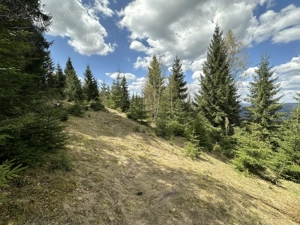 Teren Extravilan de Vanzare