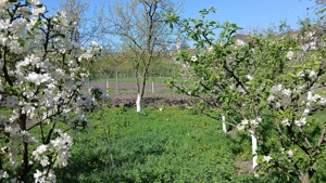 Teren de vânzare  - imagine 2