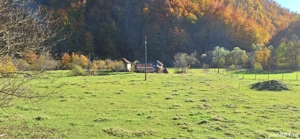 Casă de vânzare Remeți  - imagine 2