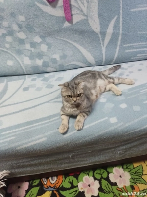 de vanzare - imagine 2