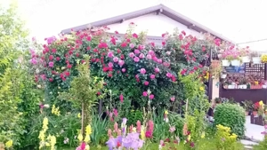 Casa complet utilata și mobilata 125 000 e negociabil