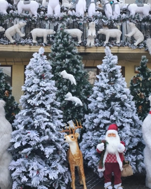 Închiriez apartament cu 3 camere pe perioada Târgului de Crăciun din Craiova  - imagine 5