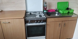 PF ofer pt închiriere apart. 1 cam, cf sporit, în Mănăștur - imagine 4